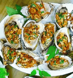 Food - Oyster || Hàu Đá.