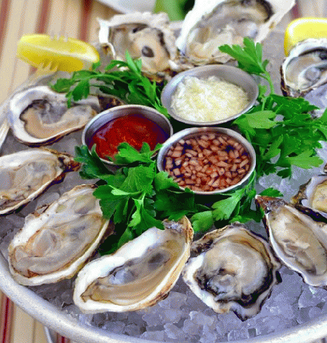Food - Oyster || Hàu Đá.