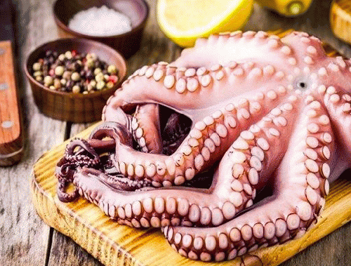 Food - Octopus (Grilled) || Bạch Tuộc Nướng Muối Ớt.